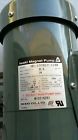 100rlt Pump Iwaki Md