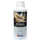 7307739 22233 Red Sea New Aiptasia-x 730773222339