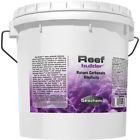 369 Seachem Reef Builder 4 000116036900