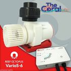 Varios-6 6950291252203 Reef Octopus Octo