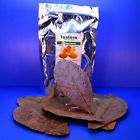 700112424144 Tantora Catappa Leaves Leaf Indian Almond Ketapang Aquarium