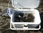 712962108914 Eoere Portable Solar Air