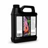 810086011872 Brightwell Aquatics Discuscode Trace Minor Elements South American