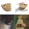 9871417 Handmade Rattan Natures Nest Finch Birds Pet Supplies 802478944226