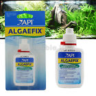 Aap87b Aquarium Pharmaceuticals Api Algaefix 317163020876