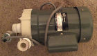 Md-70rlt Motor Cord Iwaki Japanese 115v