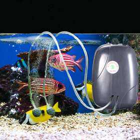 Paddsun 006372487580 110v Stabe 120 Gal Aquarium Fish Tank Oxygen Air Pump Hydroponics Aerator New
