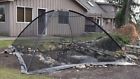 Dome-10x14 Pct1014 Easypro Deluxe Pond Net Tent 812506016542