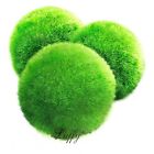 Pl-mo18 Luffy 4 Giant Marimo Moss