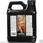 Rdx2l Brightwell Aquatics Redoxiclean Liter Reef Safe Orp Increaser 810086015184