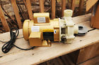 Reeflo Hammerhead Barracuda Gold Hybrid External Water No Reserve