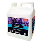 Red Sea Foundation Calcium+ 5 Liters Reef Aquarium Liquid Supplement. Fixed Price $131.26.