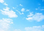 Fabric 7X5FT Sky Backdrop Theme Photography Light Blue Clouds Sunny. Fixed Price $29.24.