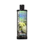 Brightwell Aquatics MICROBACTER7 500ML Complete Bacteria For Aquariums. Fixed Price $22.99.