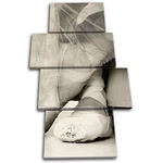 Ballet Pumps Dance Performing Multi Canvas Wall Art Picture Print. Fixed Price $109.99.