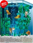 1 Gallon Led Aquarium Kit Hexagon Tank Color Changing Bubbling Light - Us. Fixed Price $50.95.