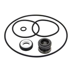 PS-200 5/8" Shaft Seal And O-ring Rebuild Kit Replace For Aqua-flo XP2E F.... Fixed Price $15.84.