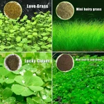 Aquarium Seeds Fish Tank Water Grass Ground Covering. Fixed Price $10.99.