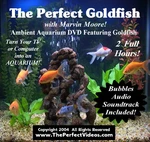 Virtual Aquarium Dvd Tank Video Real Goldfish With Bubbles Audio Soundtrack. Fixed Price $9.99.