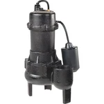 Wayne 1/2 H.p. Cast Iron Sewage Ejector Pump With Tether Switch RPP50. Fixed Price $247.04.