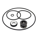 PS-200 5/8" Shaft Seal And O-ring Rebuild Kit Replace For Aqua-flo XP2E Flo-. Fixed Price $15.50.