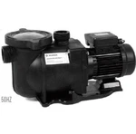 Pentair Pump Taurus 110 Energy-efficient Duty Centrifugal 50HZ/US P-TRS-301-AQ. Fixed Price $585.44.