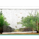 Hygger Curtain Wall Aquarium Air Stone Kit, Fish Tank Bubbler Diss.... Fixed Price $38.99.