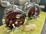 2X Penn Red Senator 6/0 114H Heavy Duty Reels. Made In Usa!. Fixed Price $179.00.
