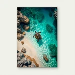Sea Life With Aquatic Animal 40X60CM Metal Print Ready To Hang. Fixed Price $21.38.