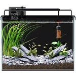 Red Tail Fish 5 Gallon Tank Aquarium Kit Filter Heater Led Light Timer. Fixed Price $164.35.