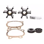 Overhaul/repair Kit For Utility Pumps Trupow PAS-30 PDS-30 &several Others. Fixed Price $15.99.