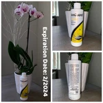 Seachem Amguard 250ML - Removes Toxic Fee Ammonia Brand New. Fixed Price $16.00.