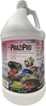 Hikari Prazipro Parasite Treatment Gallon 042055732581. Fixed Price $371.99.