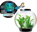 Oase Black Baby Biorb Moonlight Led Lighting Filter Aquarium Fish Tank. Fixed Price $121.85.