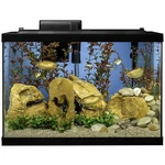 Tetra Aquarium, 20 Gallon, Complete Tropical Fish Tank Kit With Led Lighting And. Fixed Price $132.99.